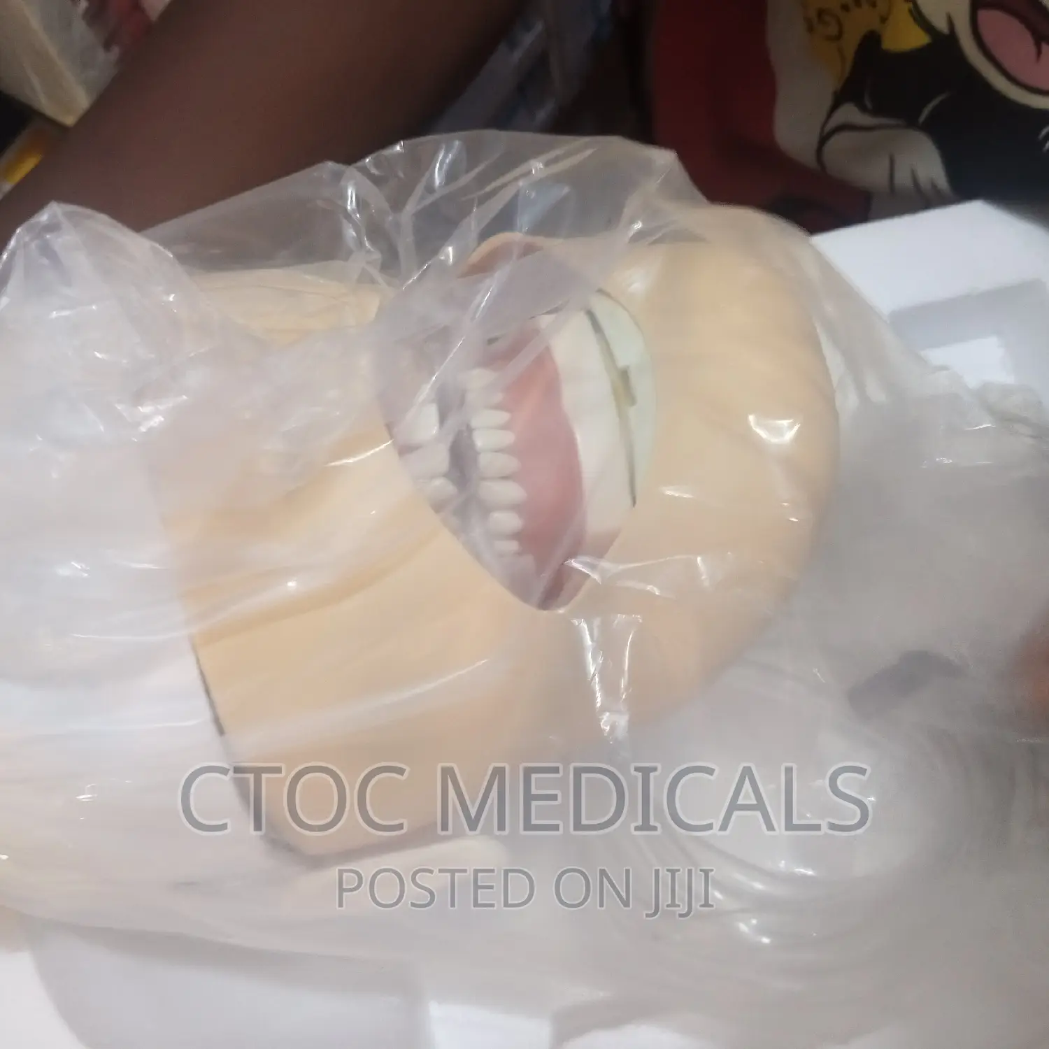 Phantom Head Dental