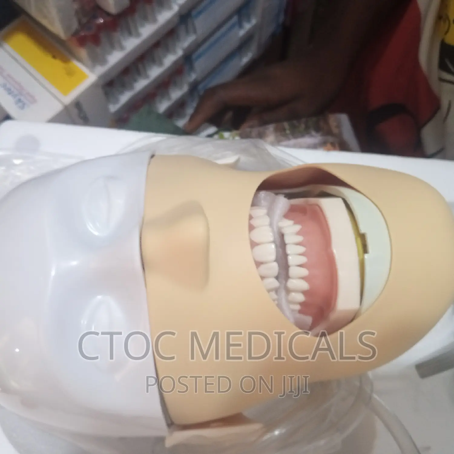 Phantom Head Dental