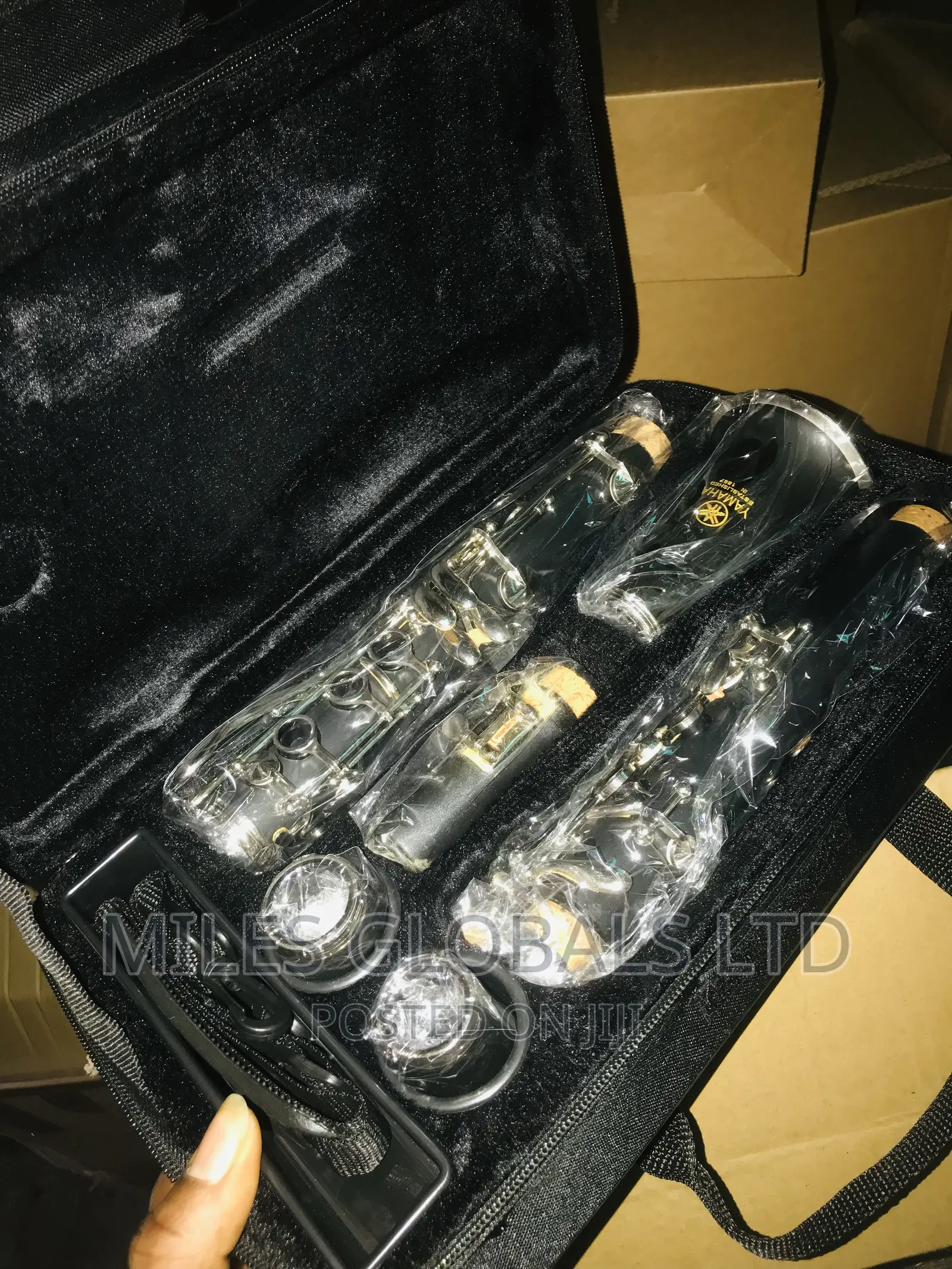 Professional Clarinet