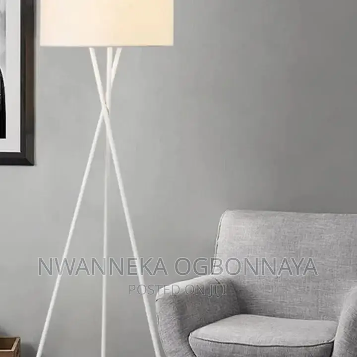 Standing Lamps Creative Tripod