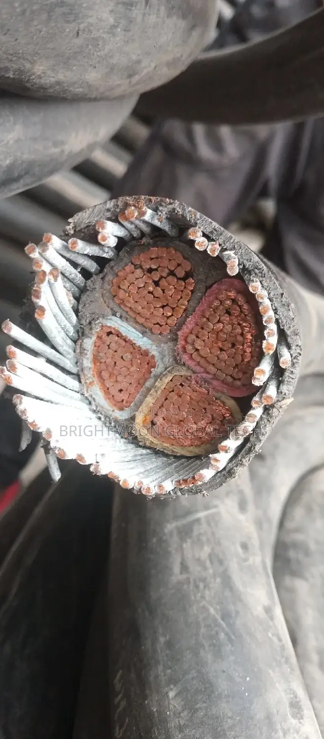 300mm 4core Nigerchin Armoured Cable a/M