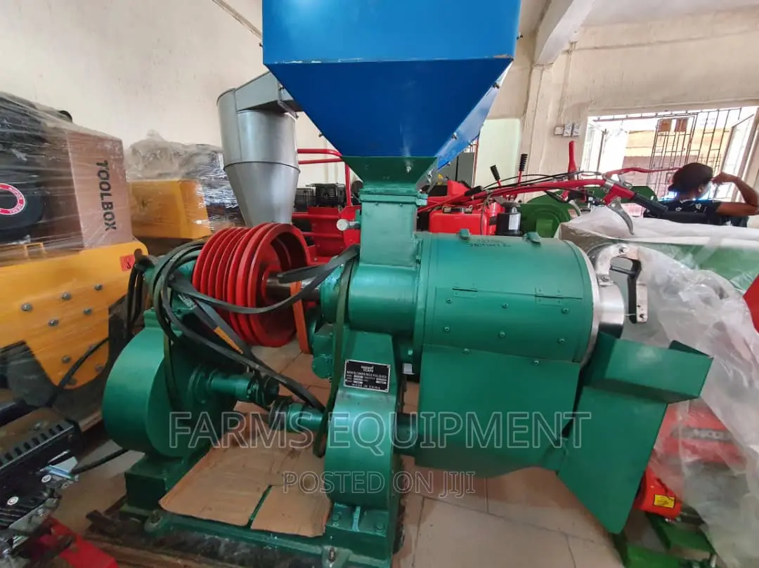 Rice Polisher