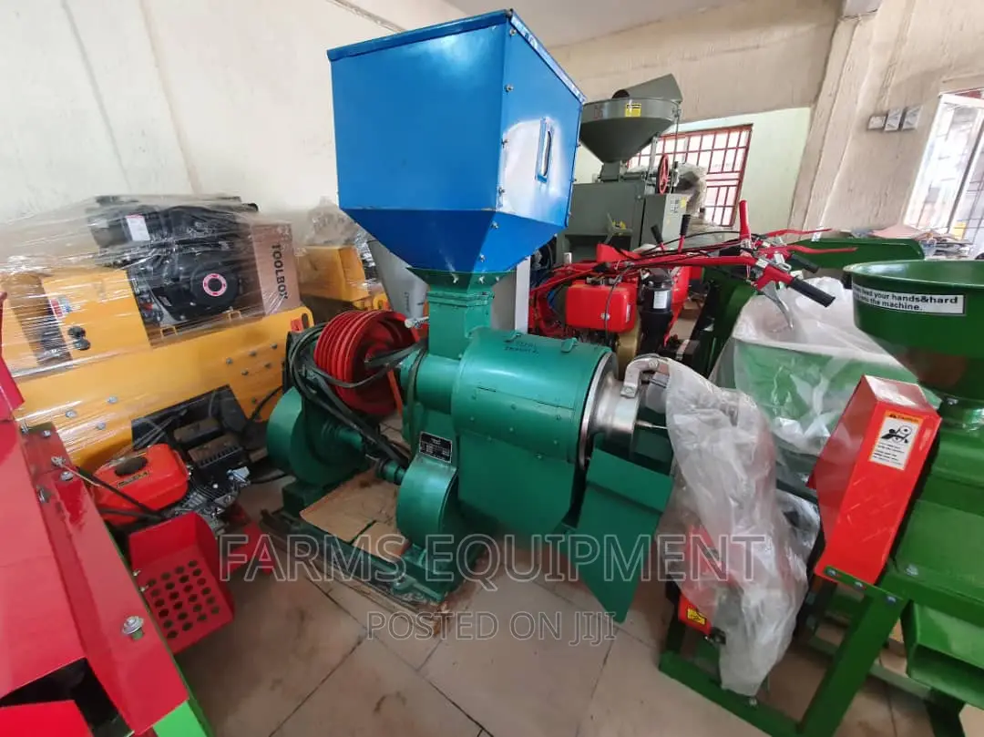 Rice Polisher