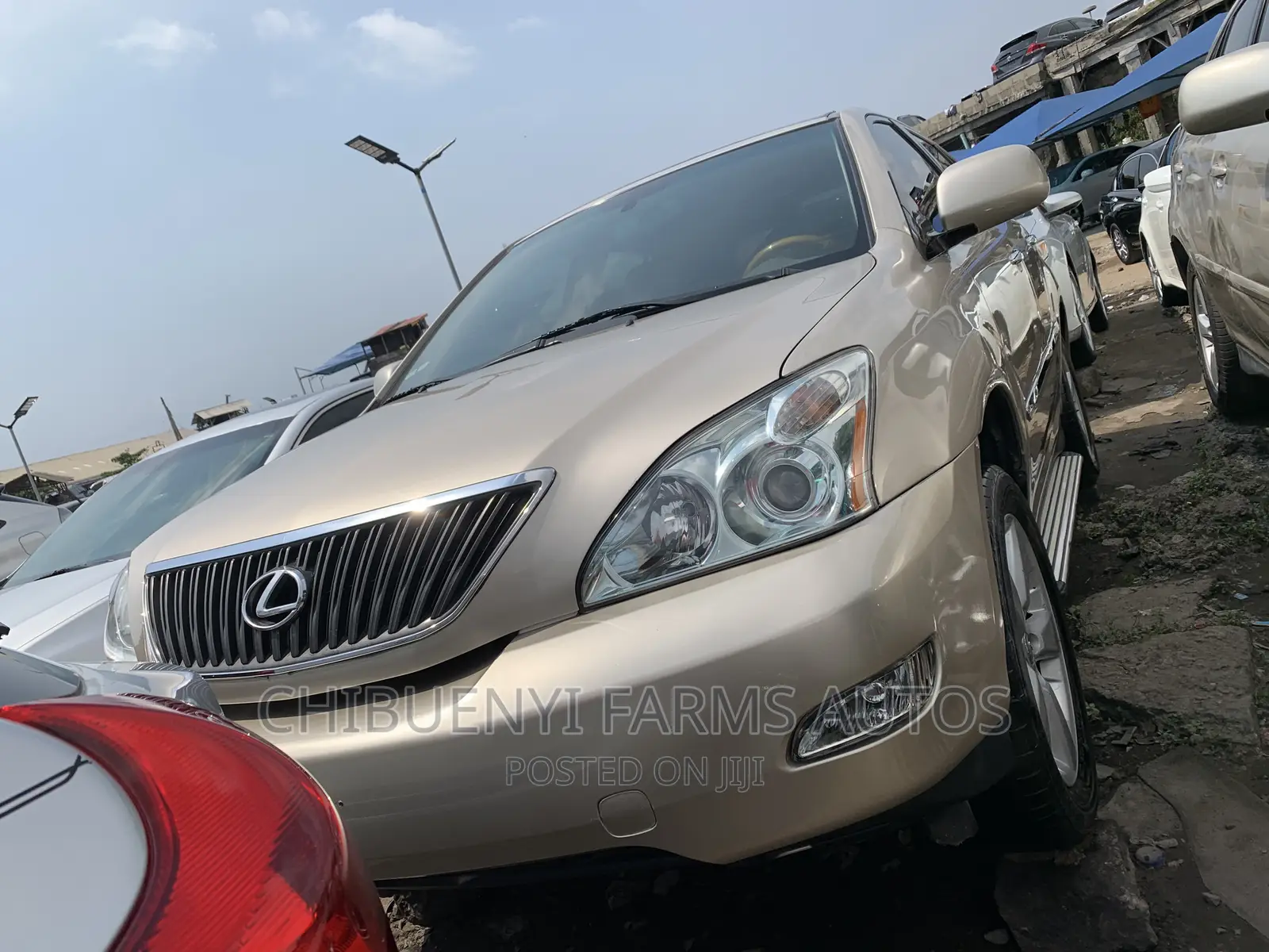 Lexus RX 330 2006 Gold