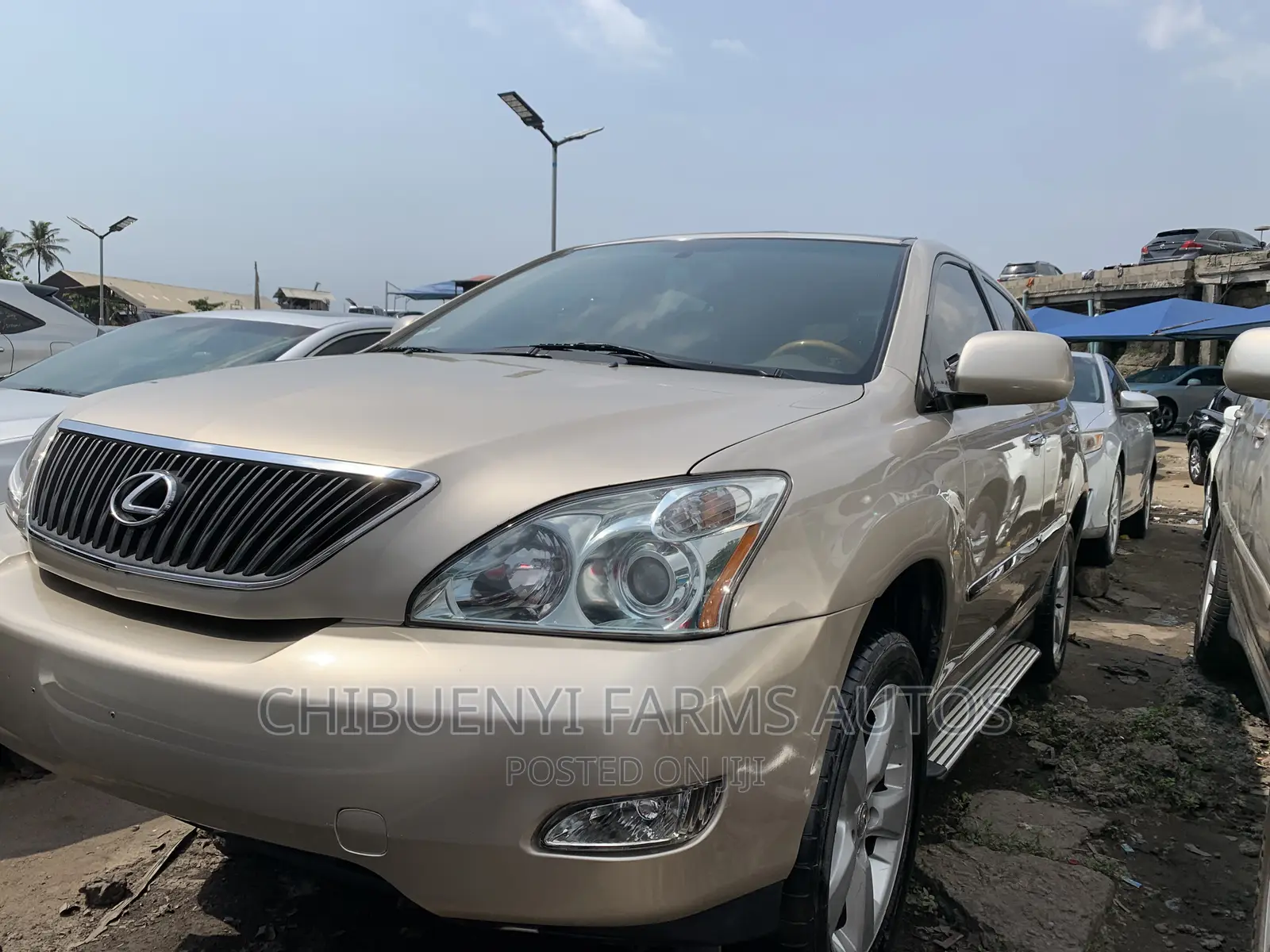 Lexus RX 330 2006 Gold