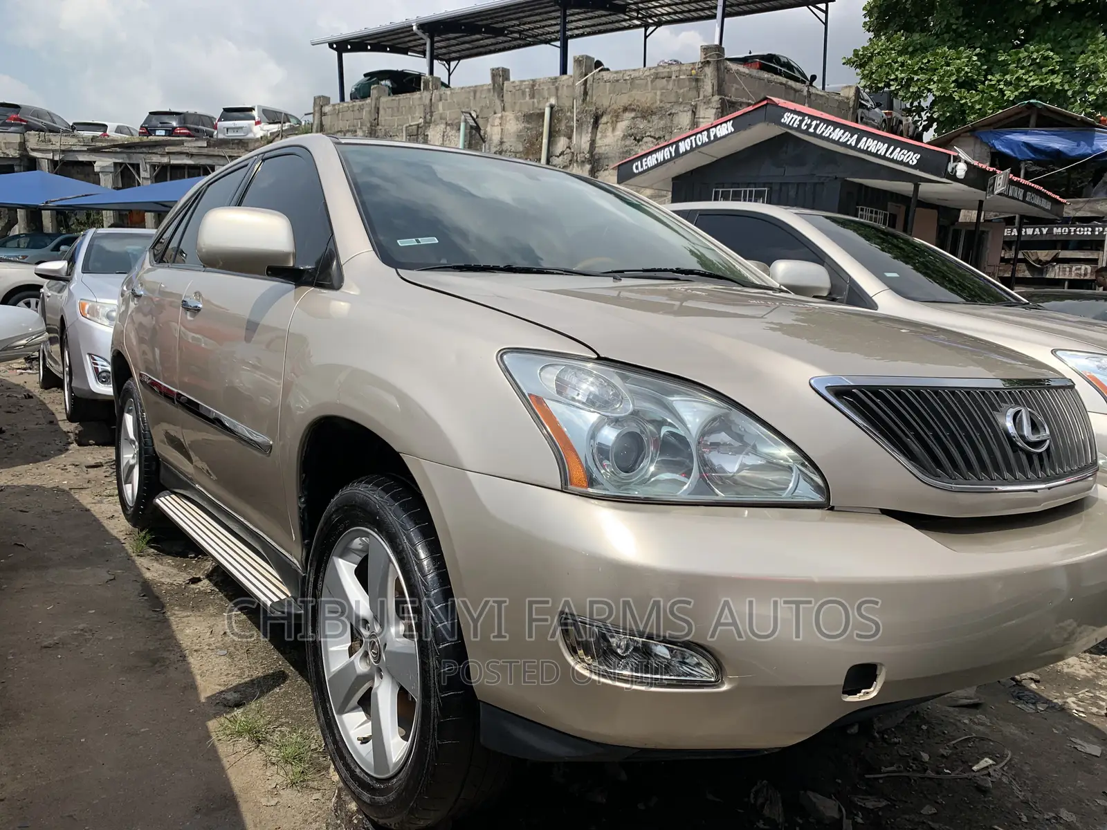 Lexus RX 330 2006 Gold