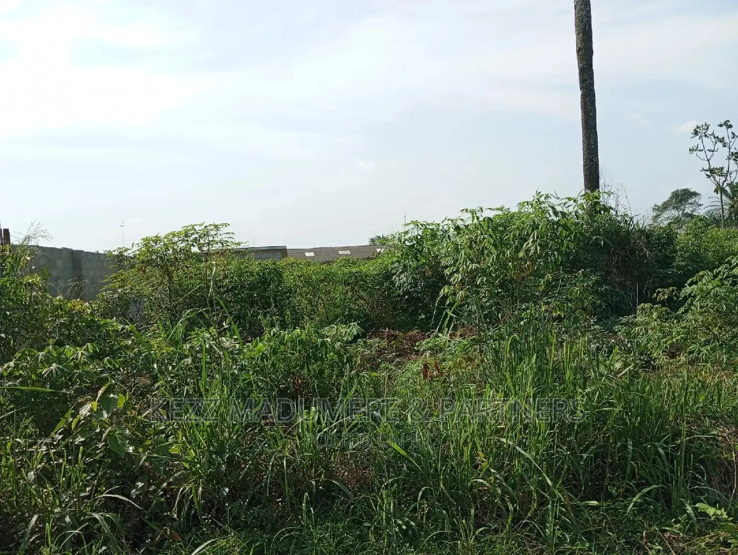 For Sale Land at Redeem Camp Road