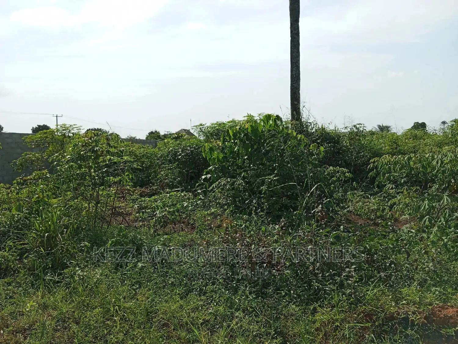 For Sale Land at Redeem Camp Road