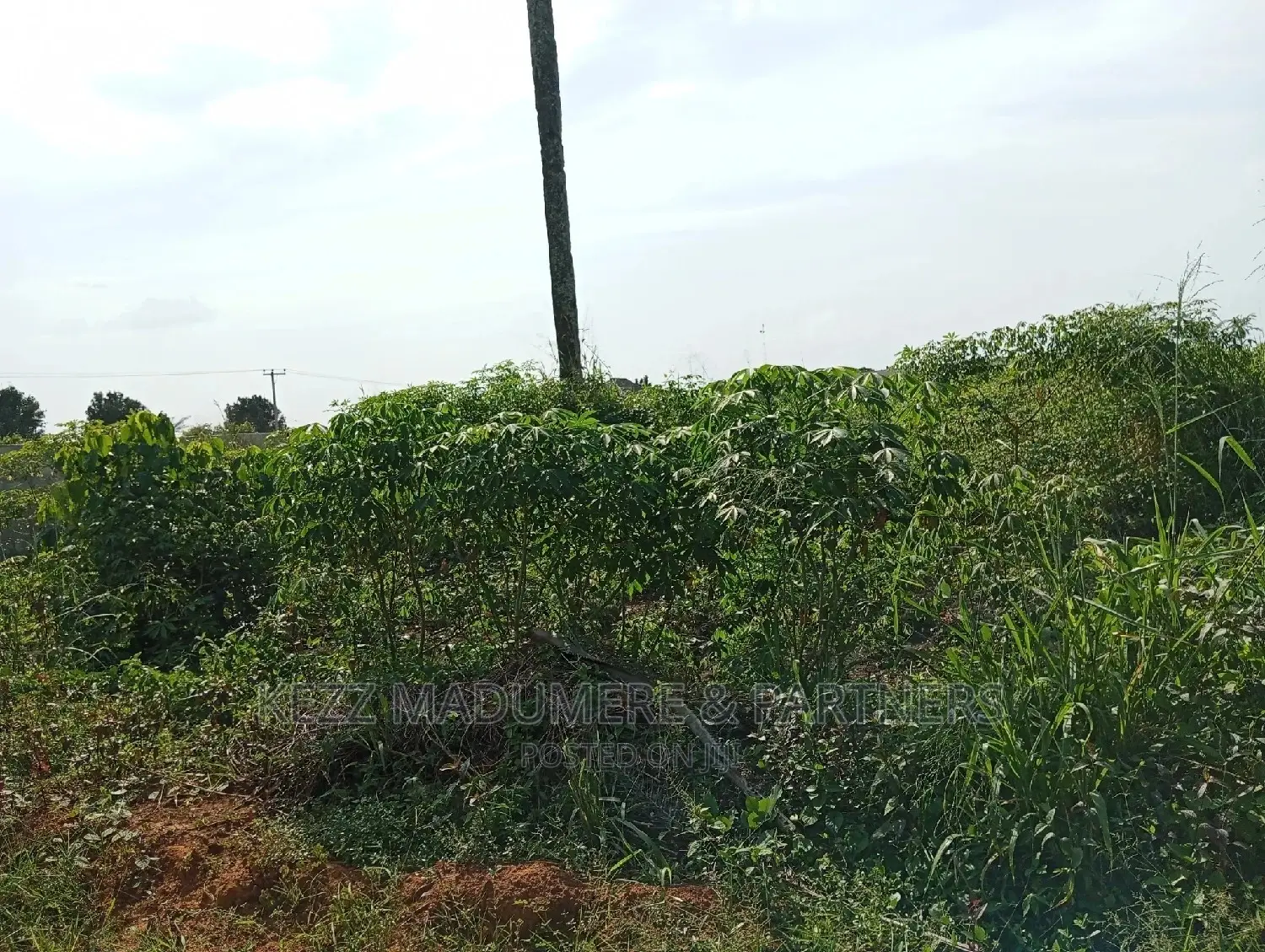 For Sale Land at Redeem Camp Road
