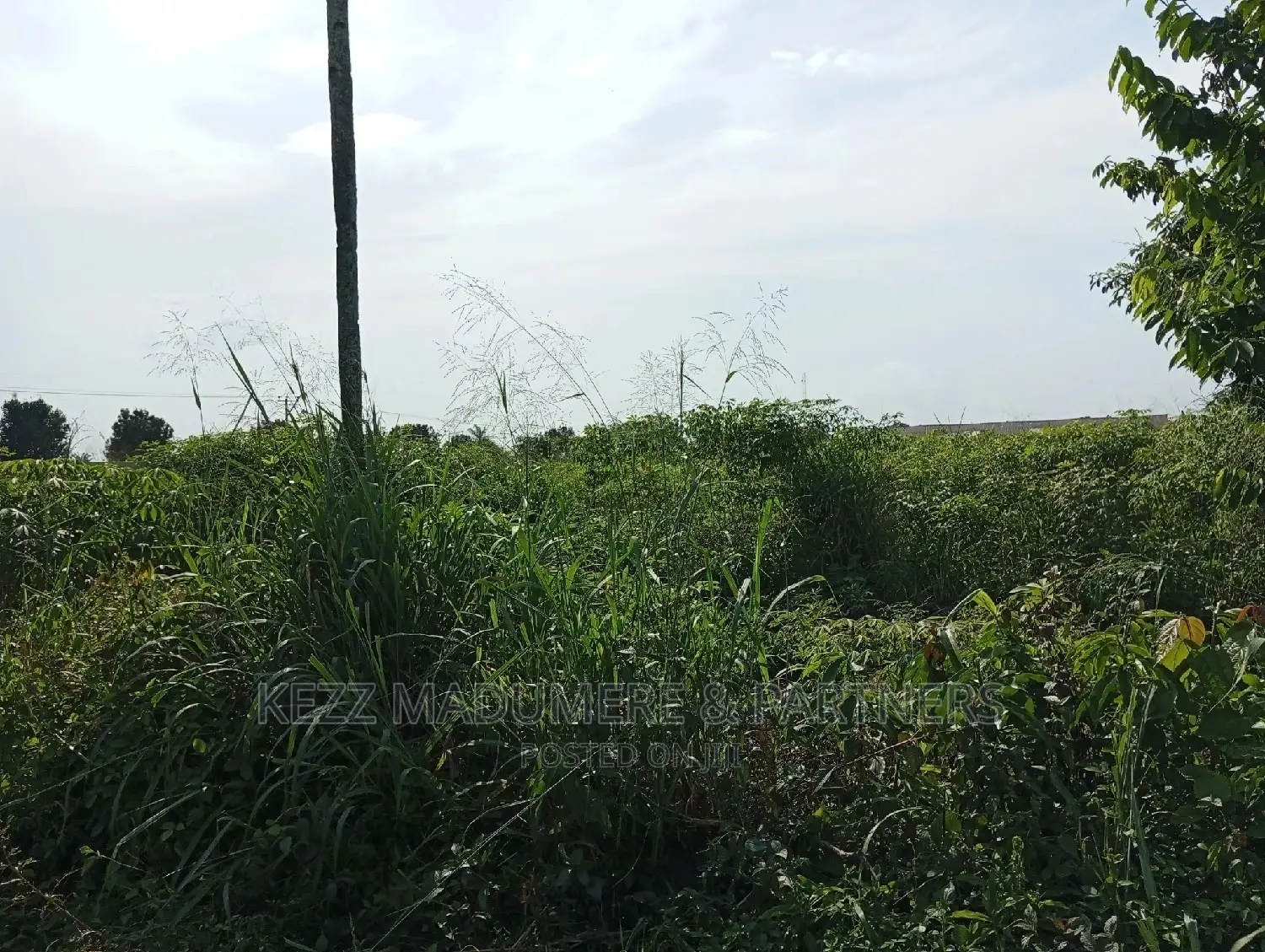 For Sale Land at Redeem Camp Road