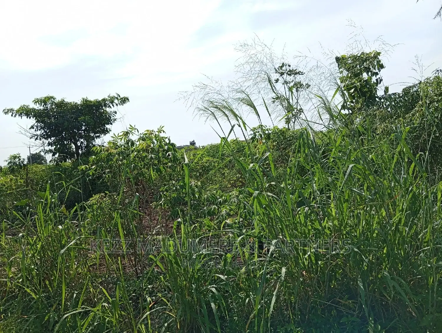 For Sale: 2plots at Redeem Church Prayer Camp