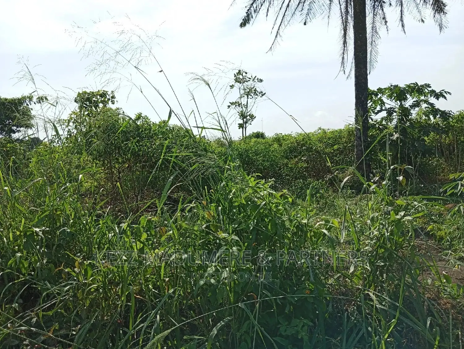For Sale: 2plots at Redeem Church Prayer Camp