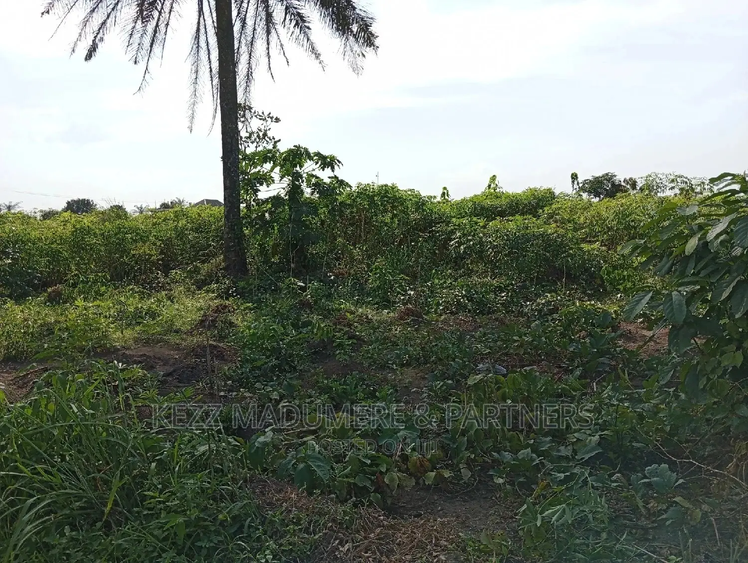 For Sale: 2plots at Redeem Church Prayer Camp