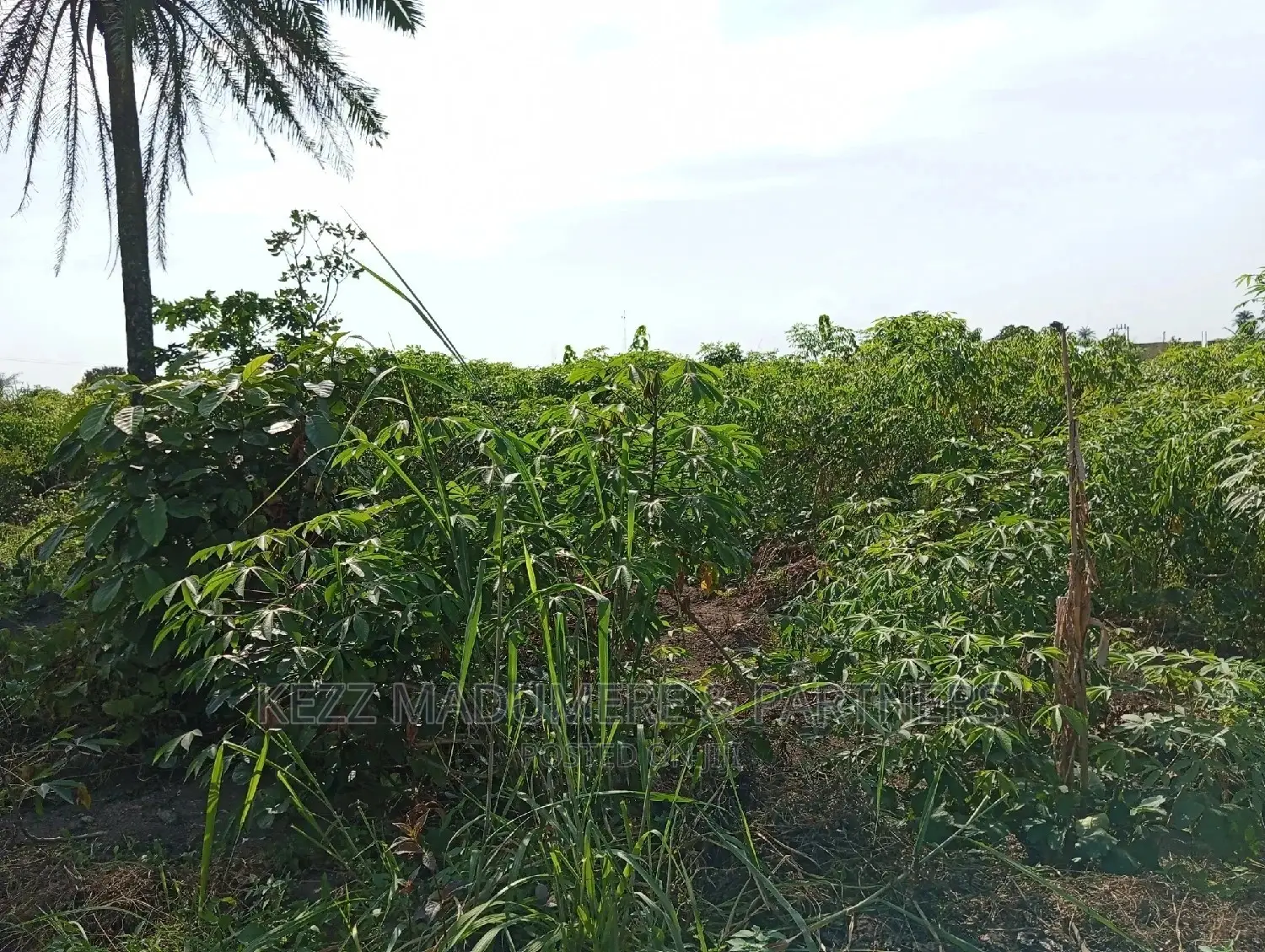 For Sale: 2plots at Redeem Church Prayer Camp