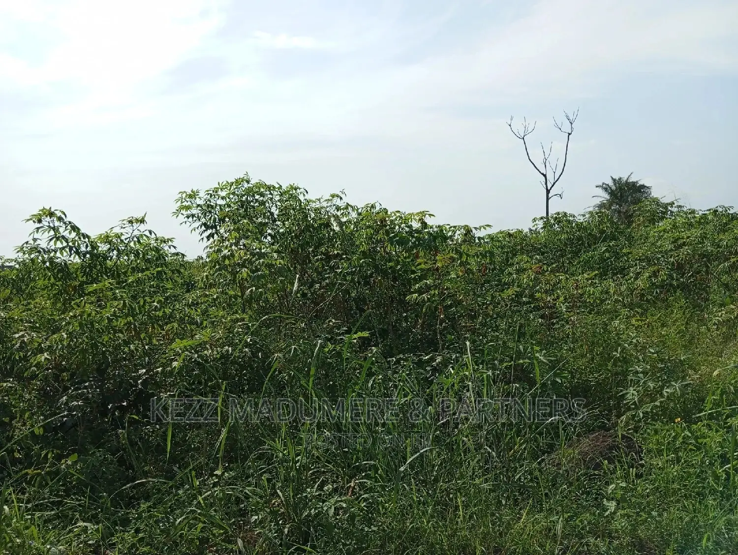 For Sale: 2plots at Redeem Church Prayer Camp