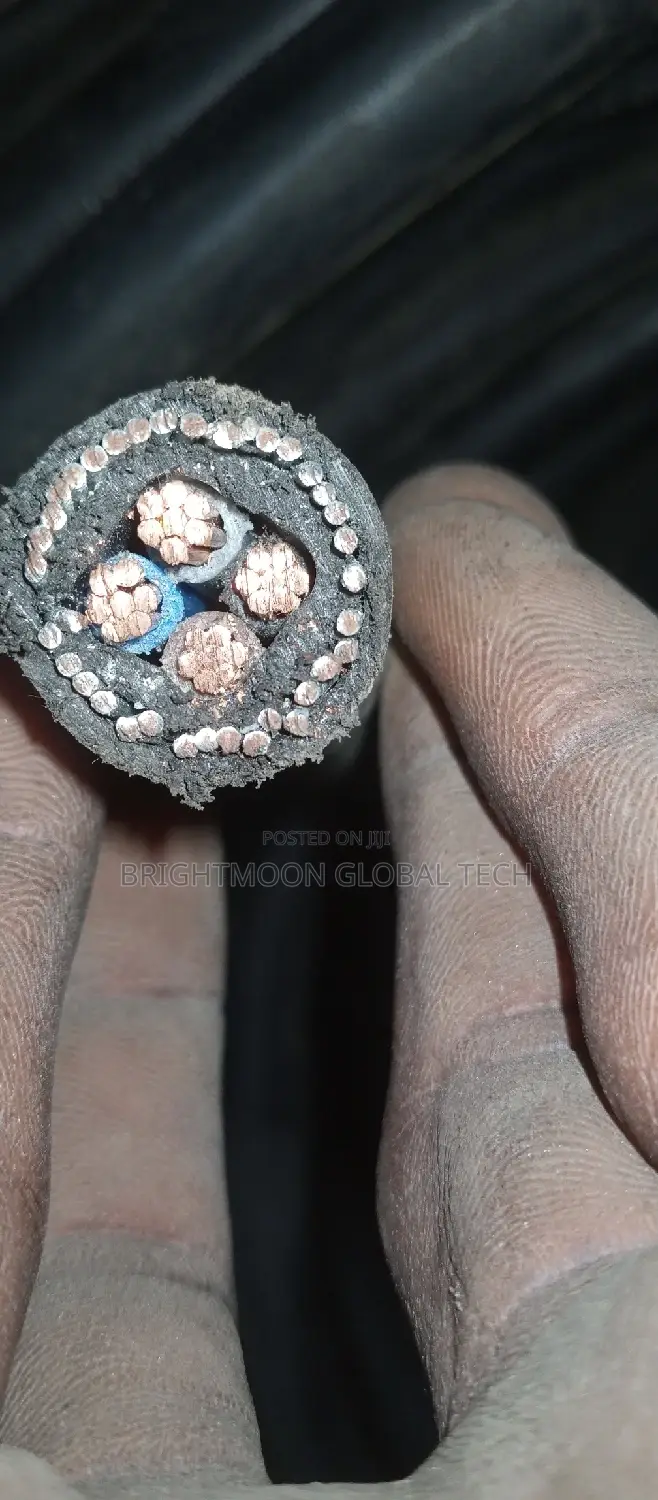 Original 10mm 4core Nigerchin Armoured Cable