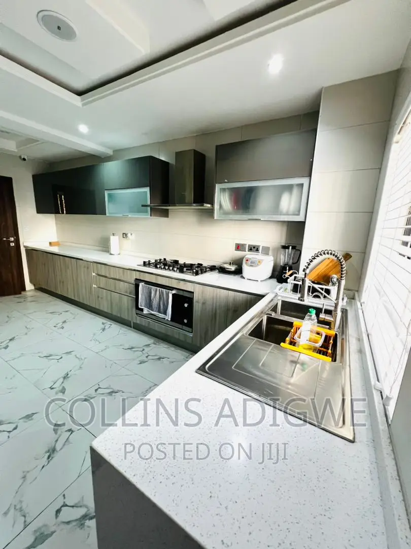 Luxurious 3 Bed Room Newly Built With Swimmin Pool -Vi