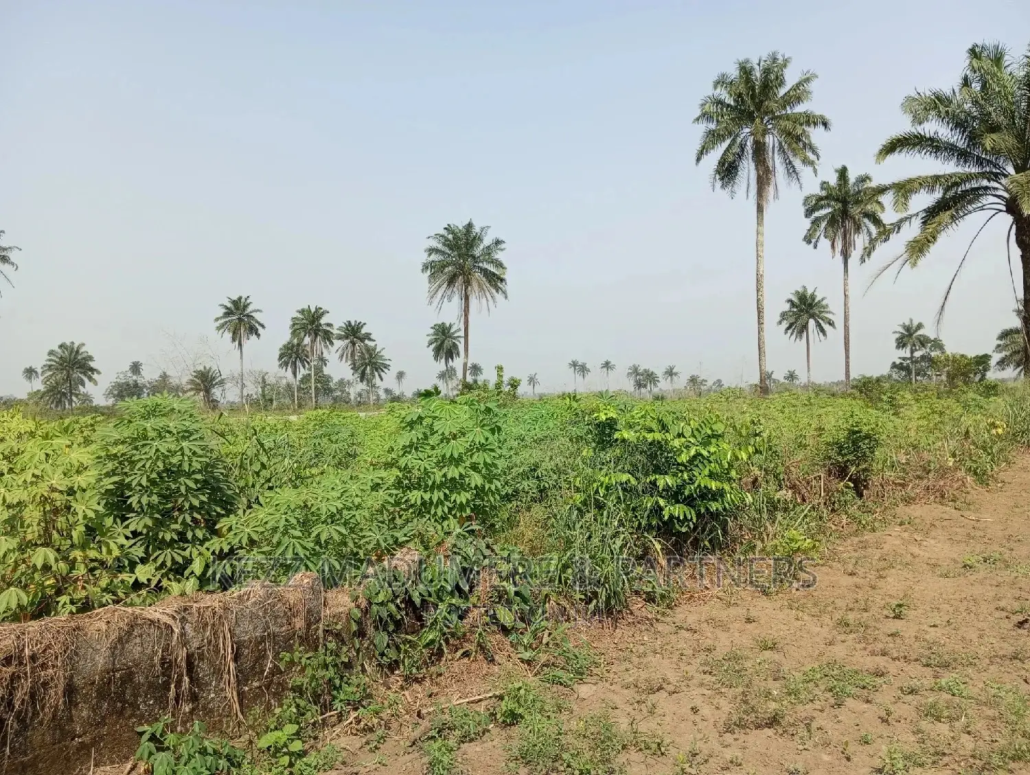 For Sale: 5 Plots at Redeem Camp Road, Rukpokwu