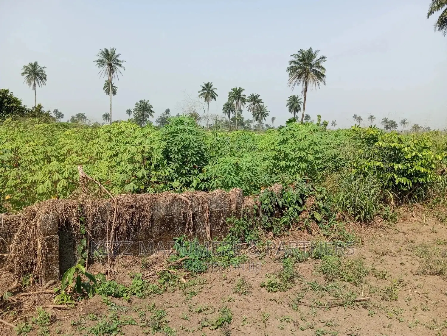 For Sale: 5 Plots at Redeem Camp Road, Rukpokwu