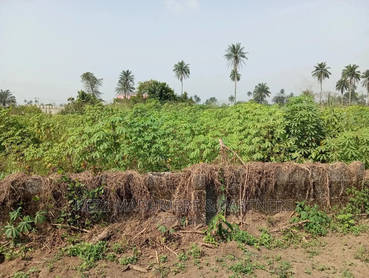 For Sale: 5 Plots at Redeem Camp Road, Rukpokwu