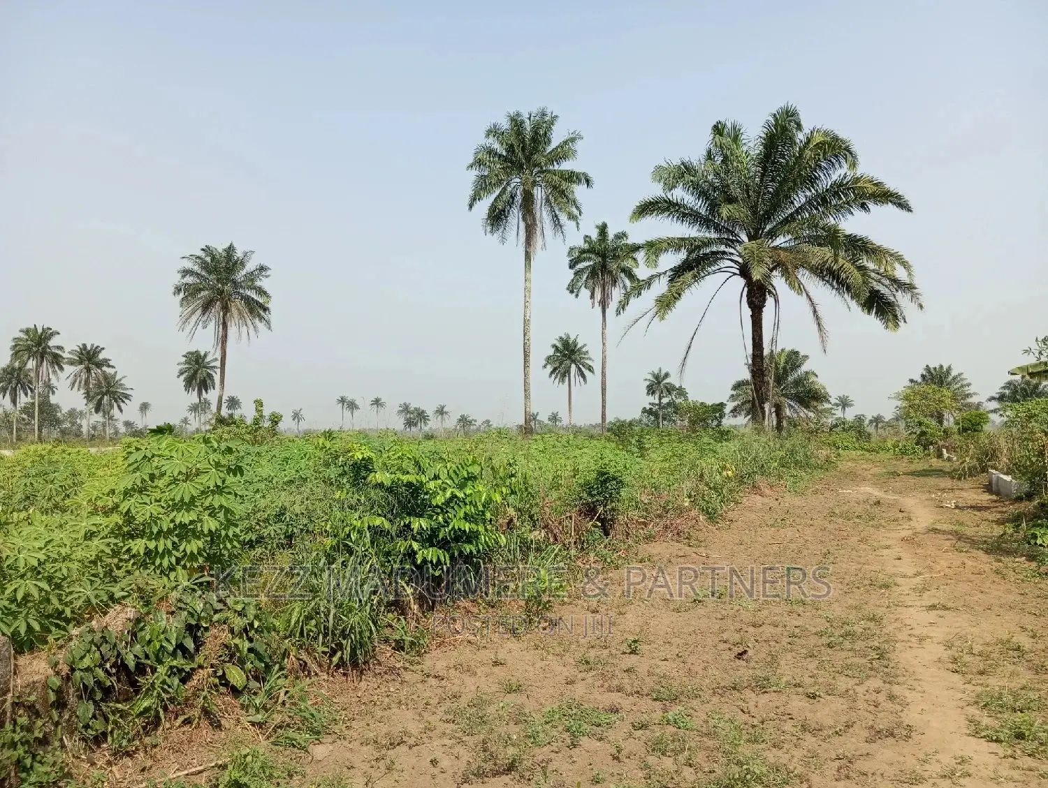 For Sale: 5 Plots at Redeem Camp Road, Rukpokwu