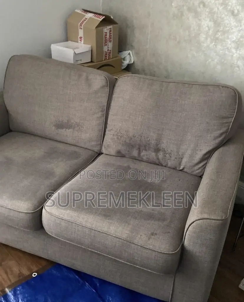 Professional Cleaning, Sofa Cleaning Service