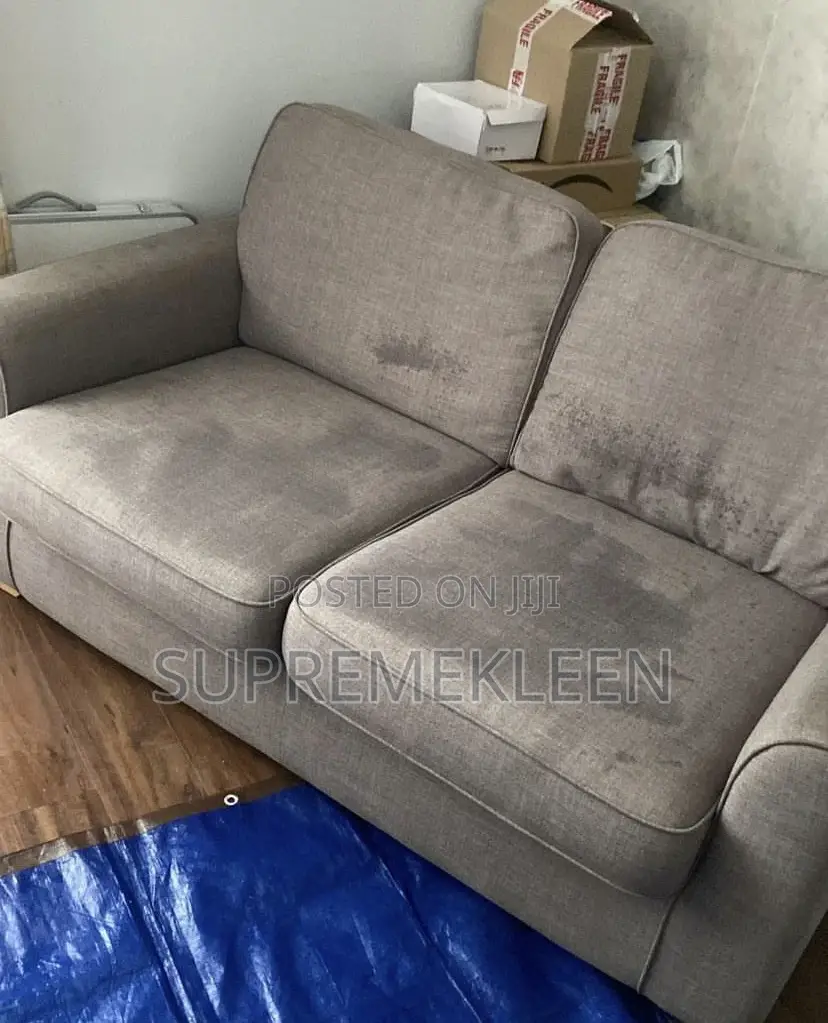 Professional Cleaning, Sofa Cleaning Service