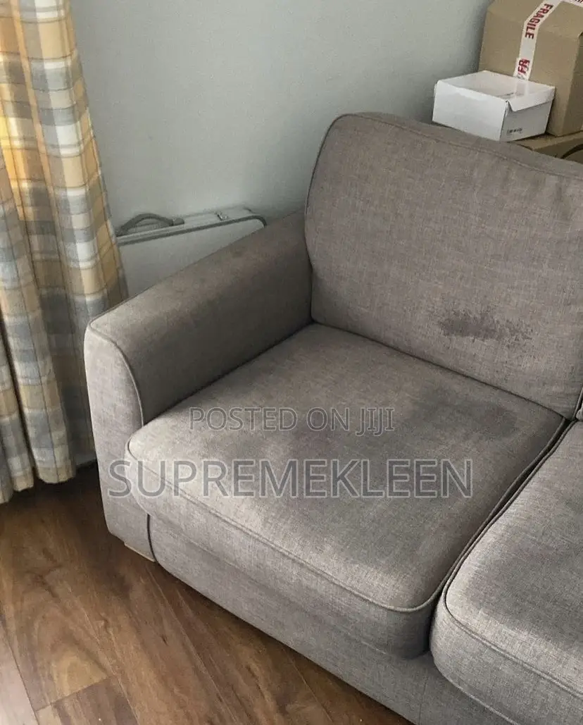 Professional Cleaning, Sofa Cleaning Service
