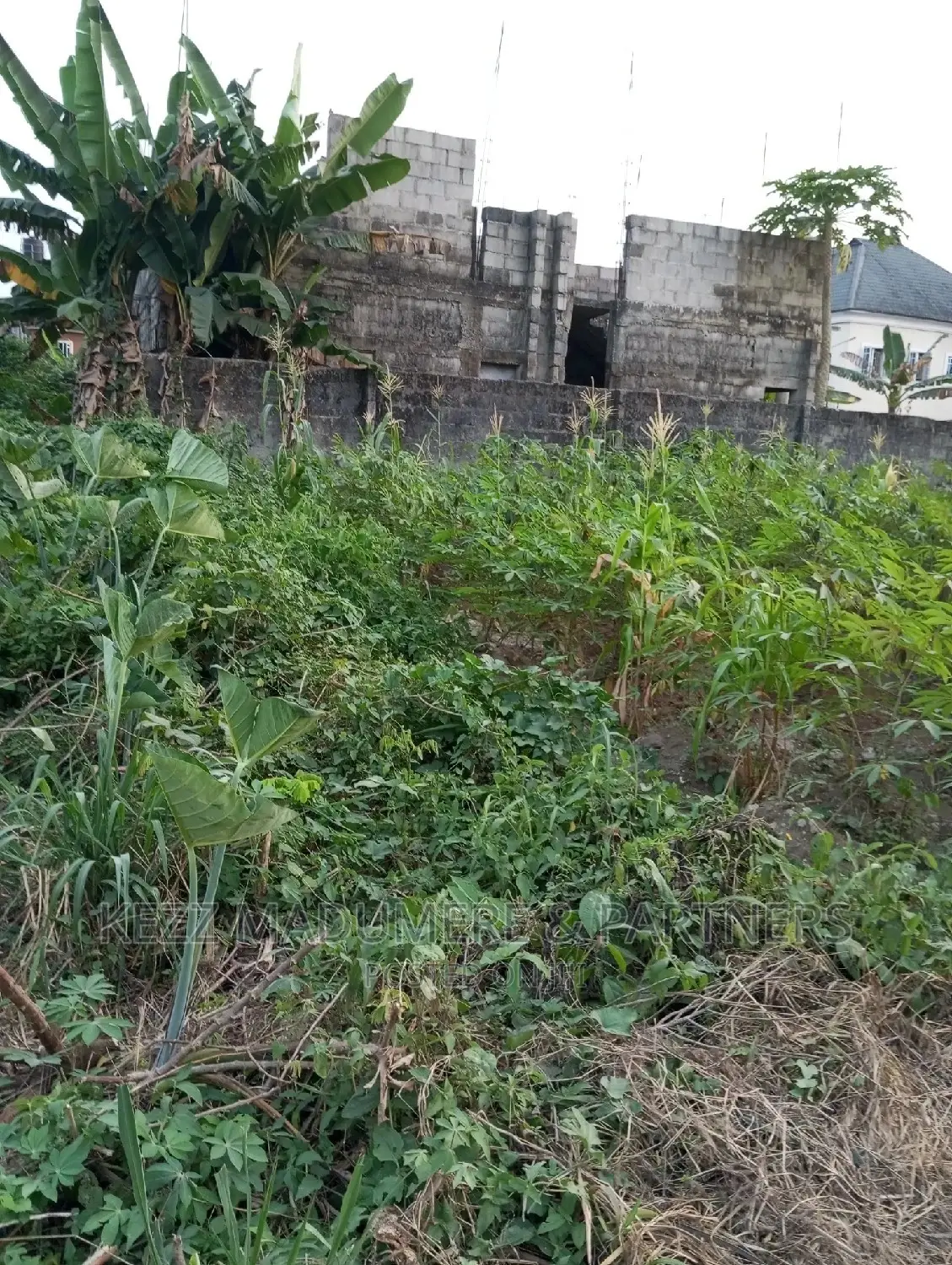 For Sale: 1 Plot at AMECHI PRIMARY SCH , RD EST, RUMUOSI