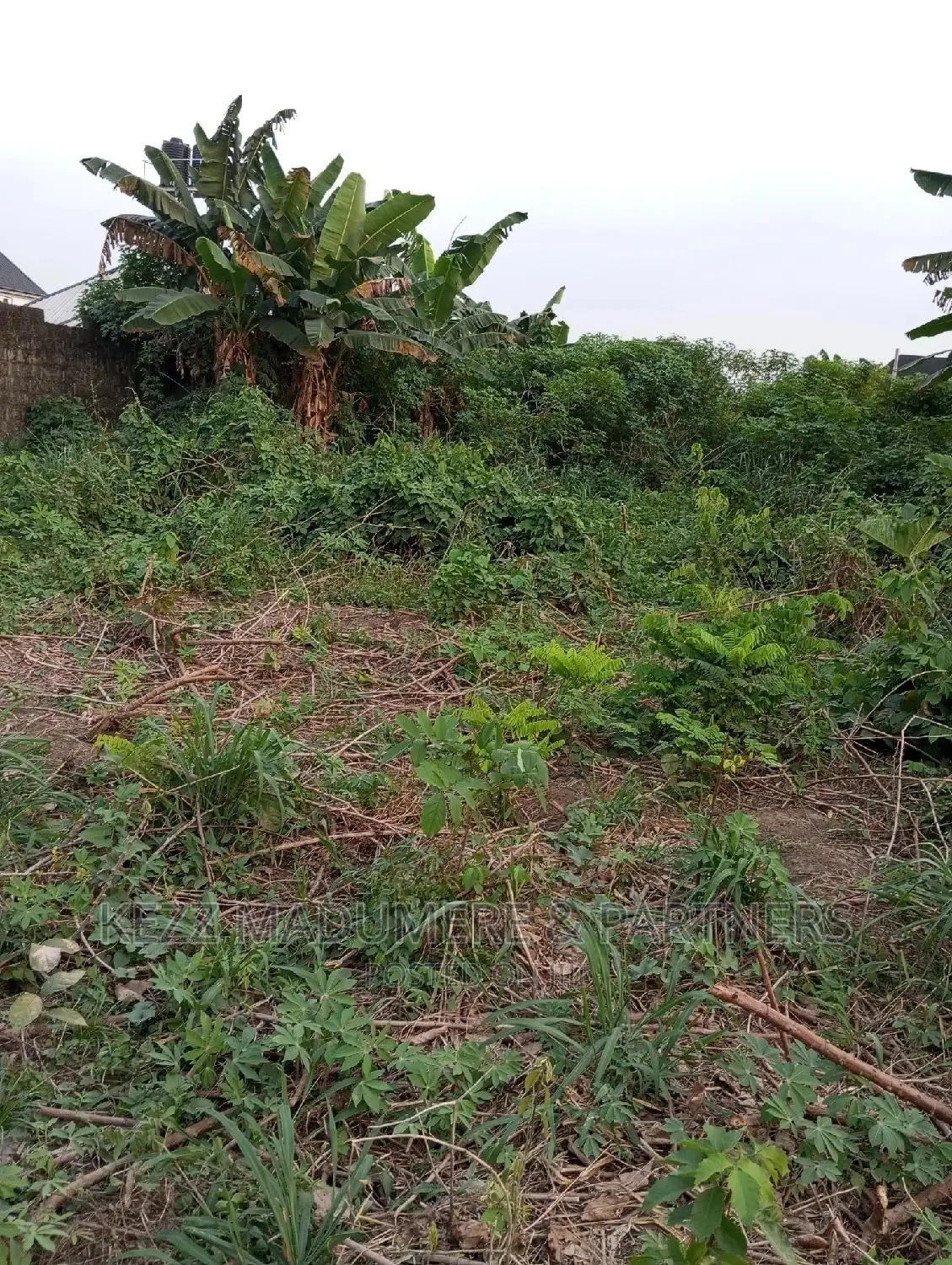 For Sale: 1 Plot at AMECHI PRIMARY SCH , RD EST, RUMUOSI