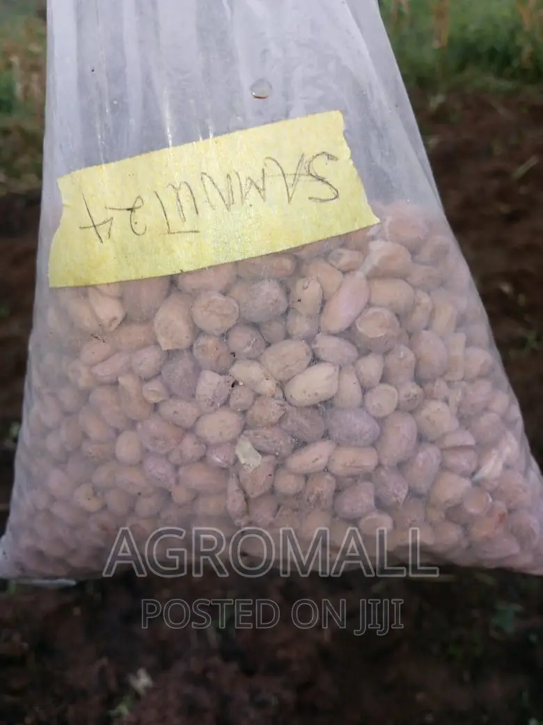 Hybrid Groundnut (SAMNUT)_1KG