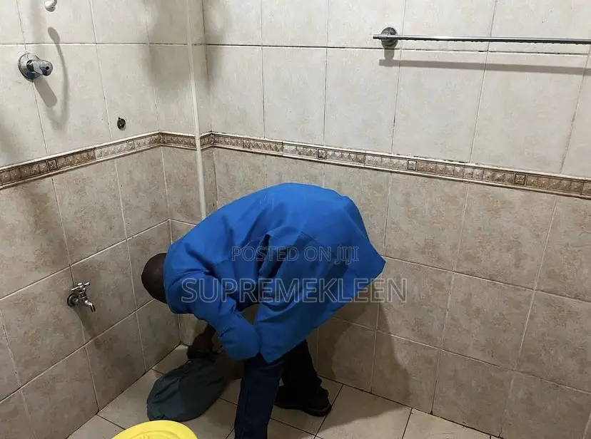 Professional Cleaning Service At Affordable Price