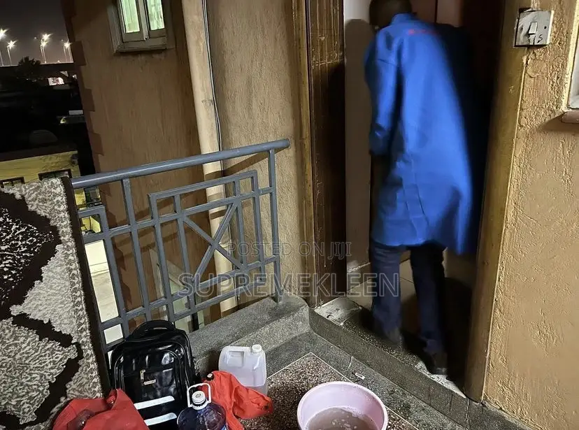 Professional Cleaning Service At Affordable Price