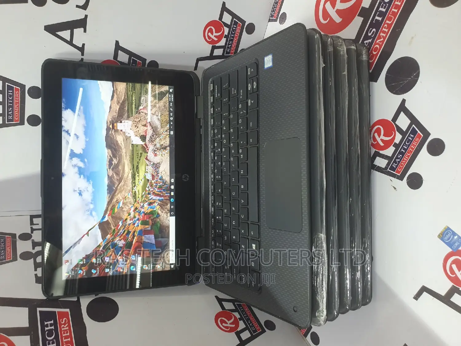 Laptop HP ProBook 11 G2 EE 4GB Intel Pentium SSHD+SSD 500GB