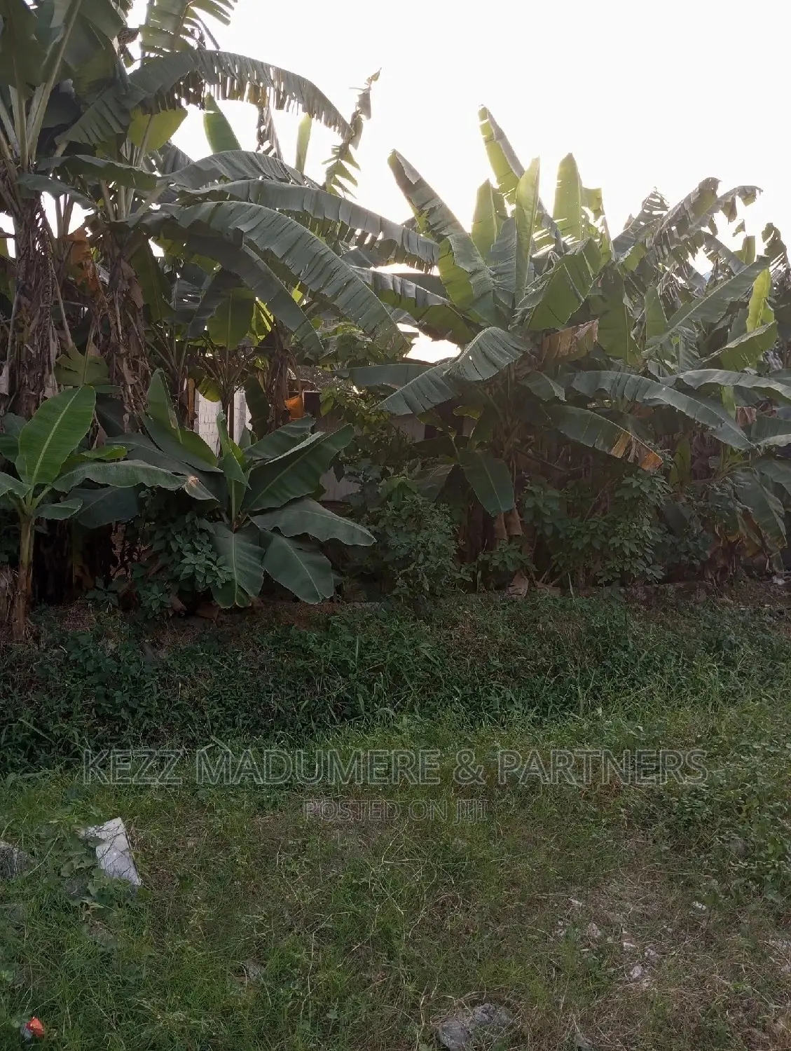 For Sale Land at Ozuoba, Port Harcourt