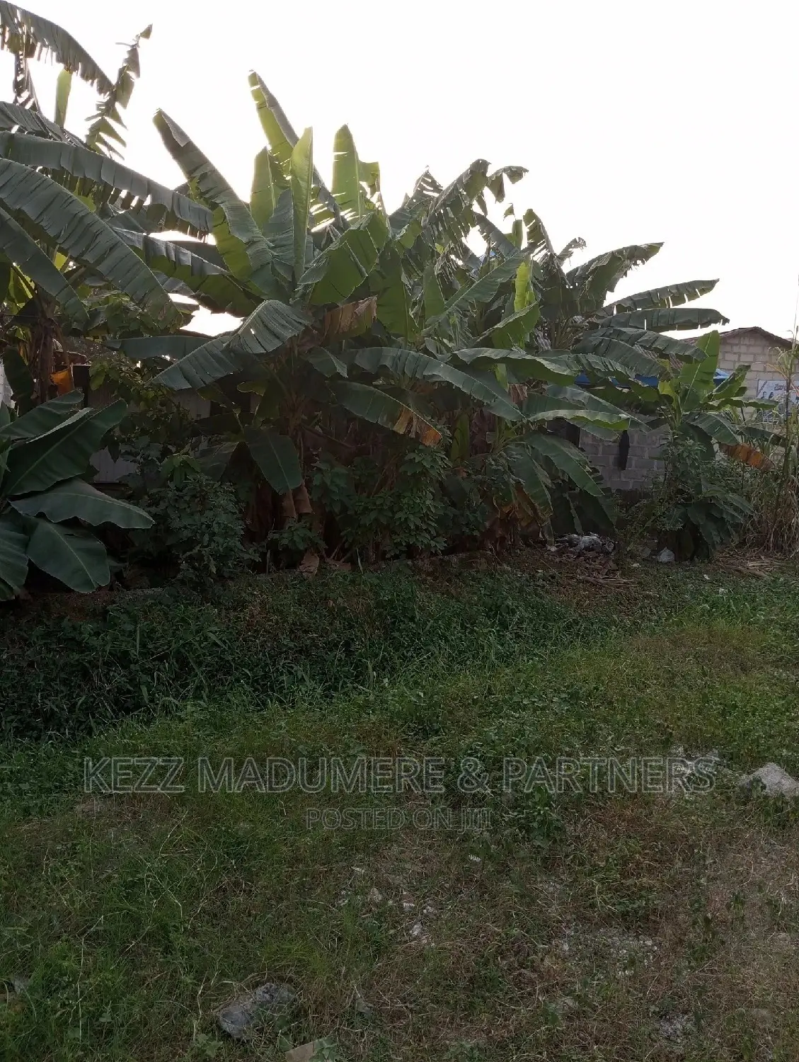 For Sale Land at New Gra 5 Ozuoba