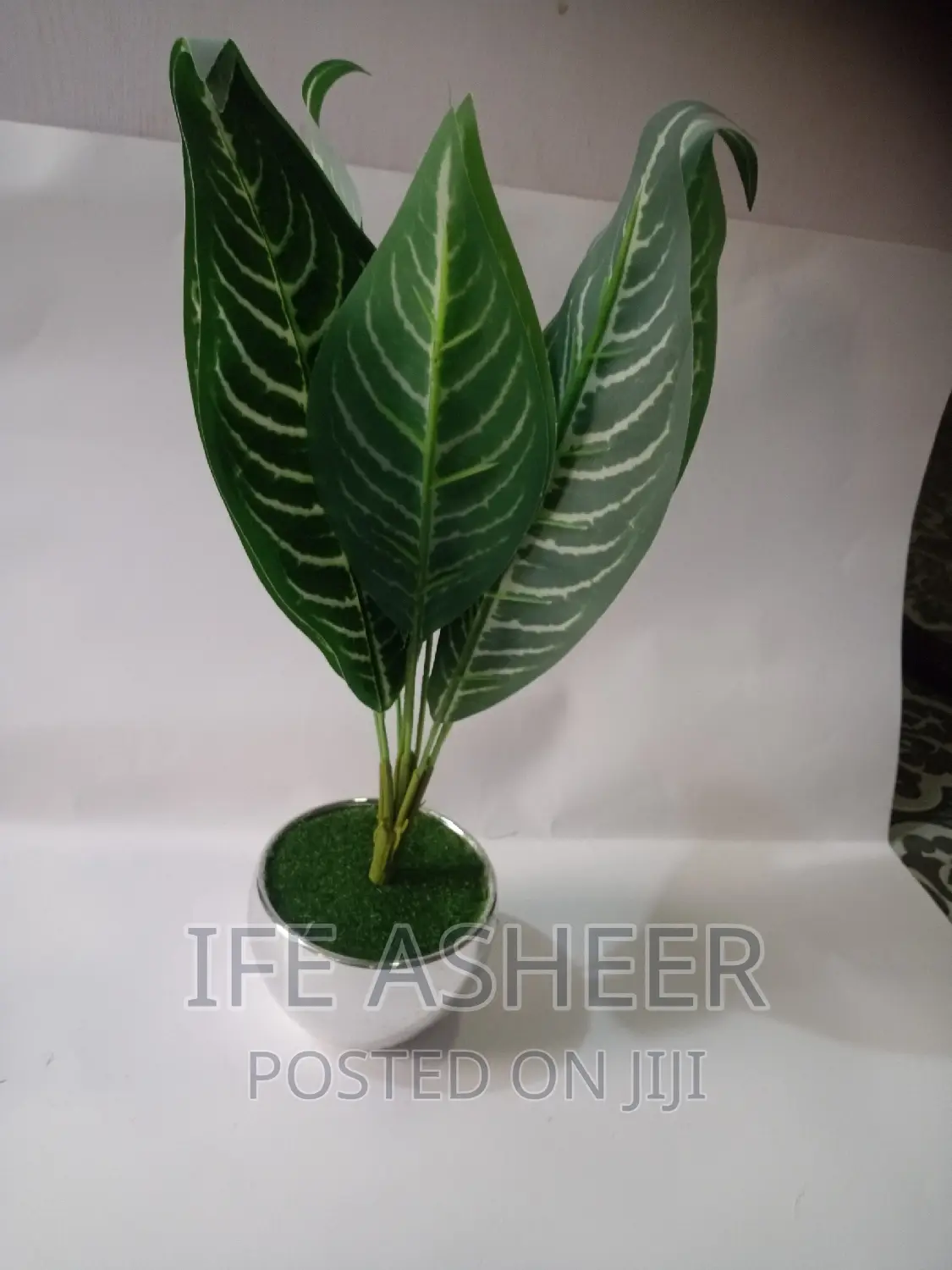 Exotic Shelf Flower Vase
