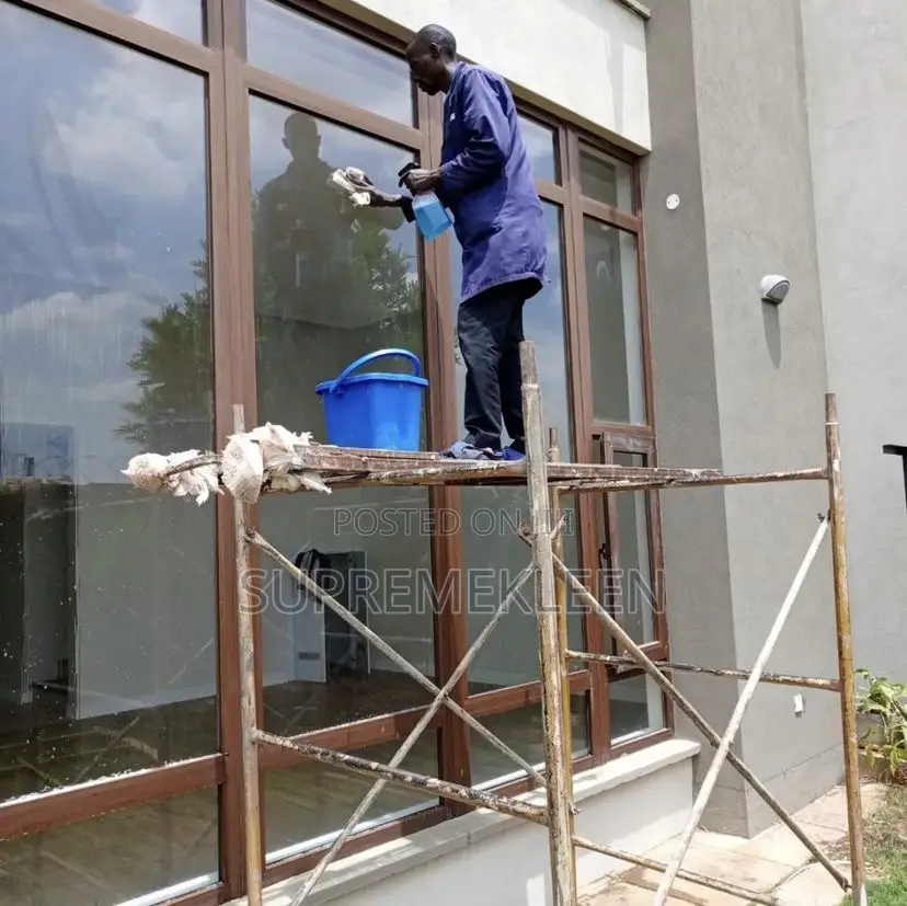 Professional Cleaners For Detailed Cleaning Service.
