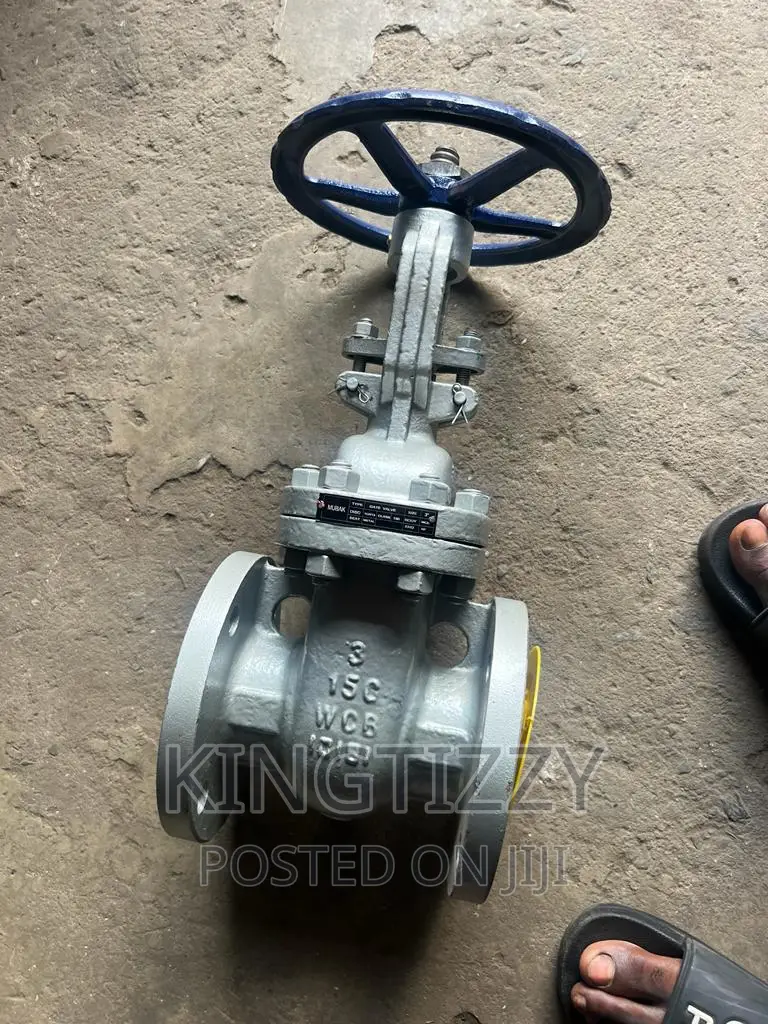 Steel Gate Valve