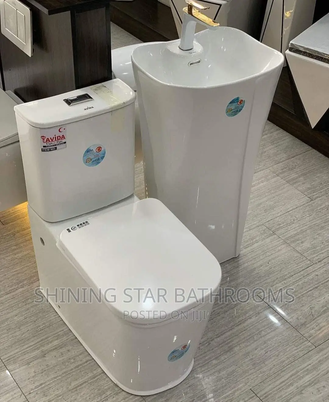 Executive Toilet Set With Basin
