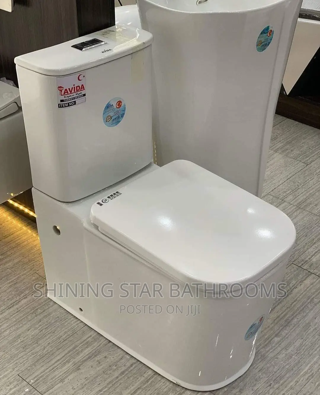 Executive Toilet Set With Basin