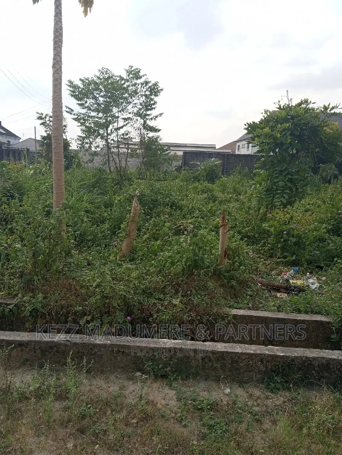 For Sale: 3 Poles Off Sars Road