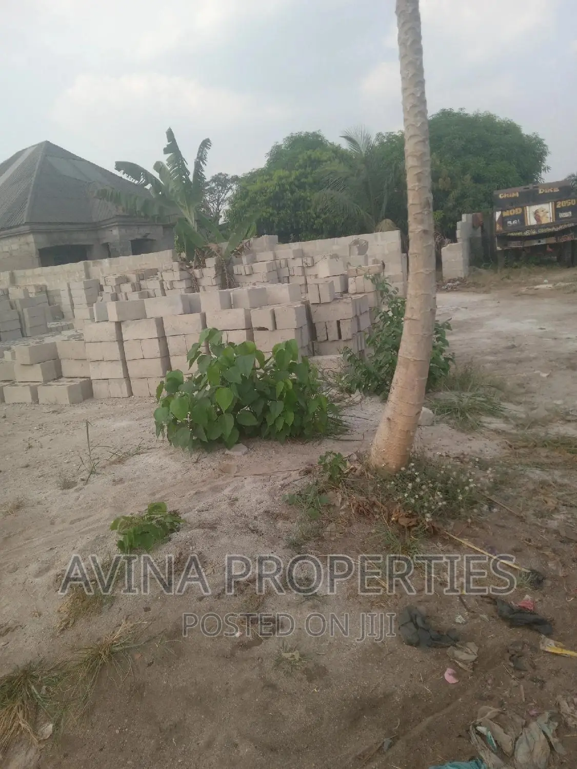 A Total of 1 Plot of Land for Sale at Avina Properties