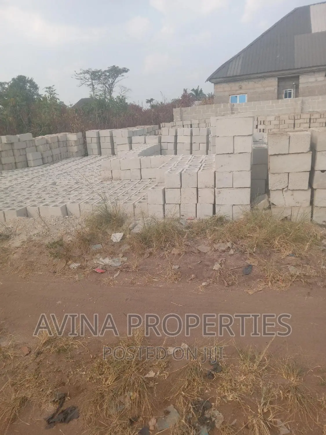 A Total of 1 Plot of Land for Sale at Avina Properties