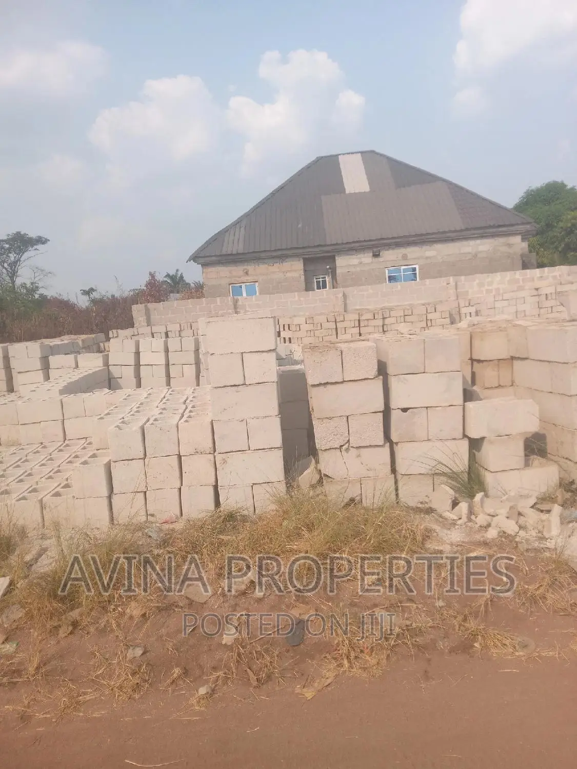 A Total of 1 Plot of Land for Sale at Avina Properties