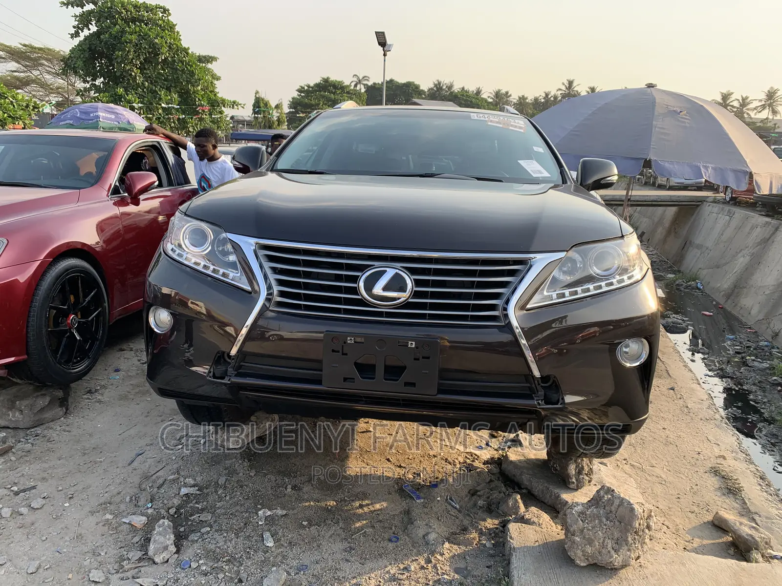 Lexus RX 350 FWD 2012 Brown