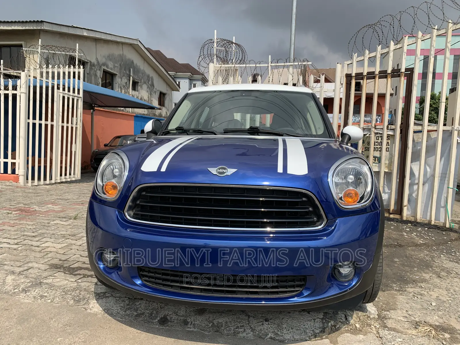 Mini Countryman 2011 Blue