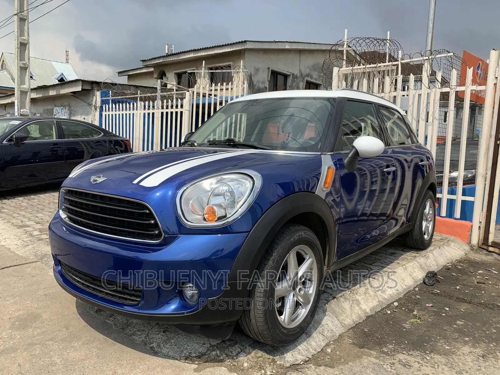 Mini Countryman 2011 Blue