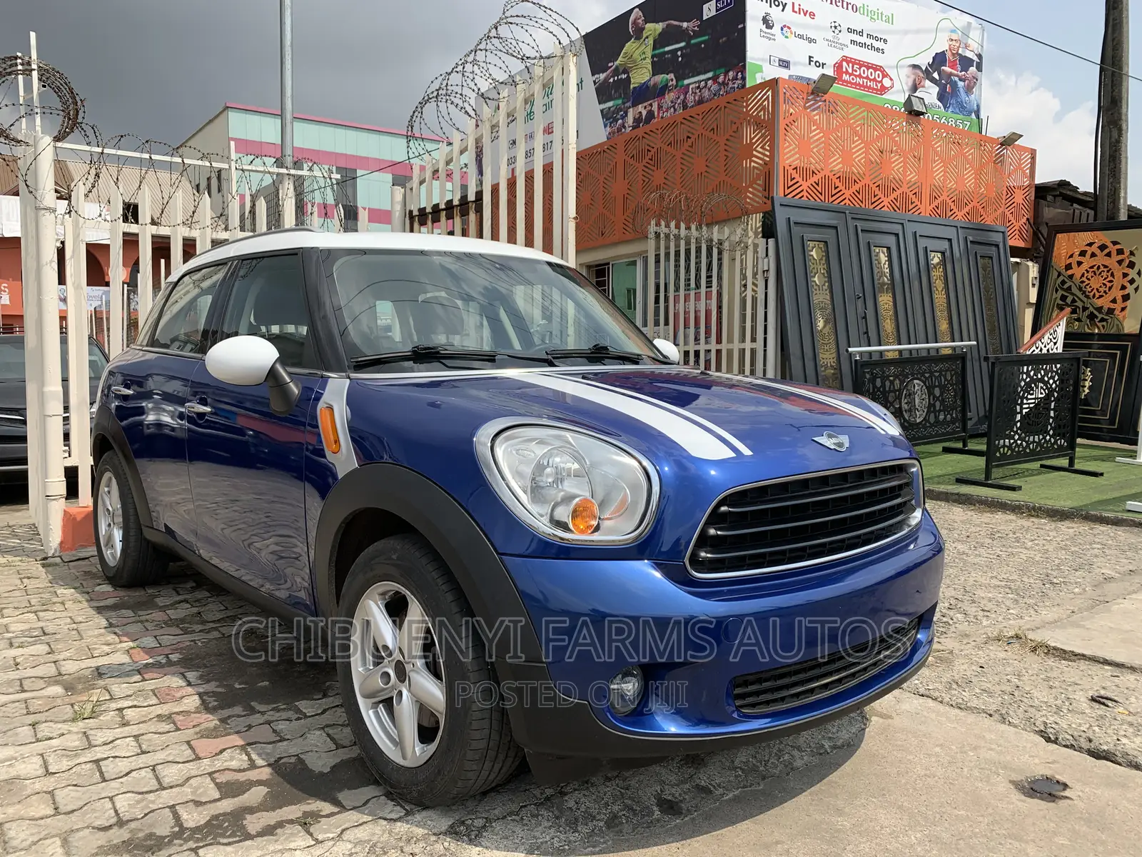 Mini Countryman 2011 Blue