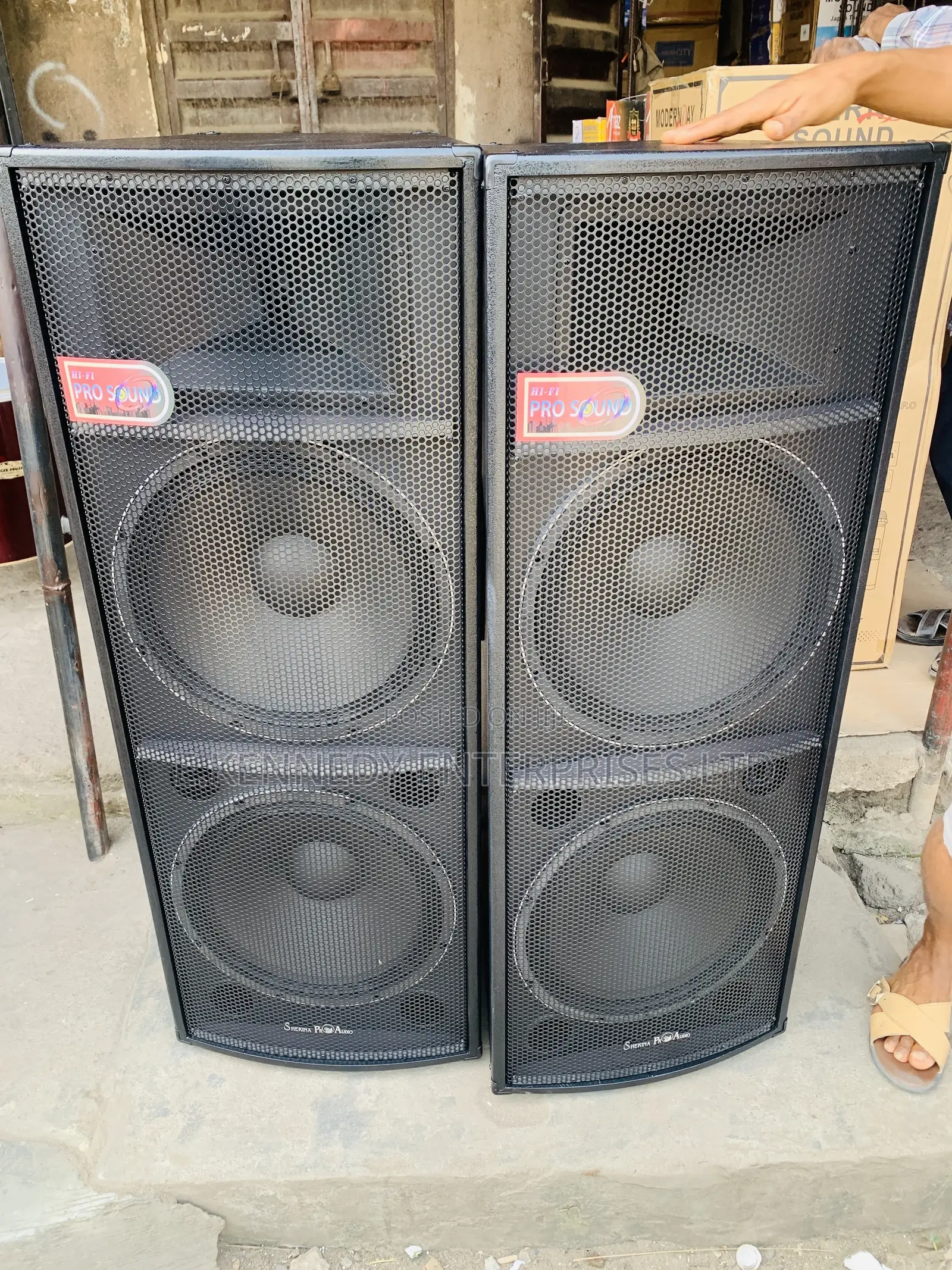 Professional 15” Double Foreign Speaker